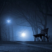 Parkbank in der Nacht