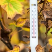 thermometer zeigt 12 Grad an